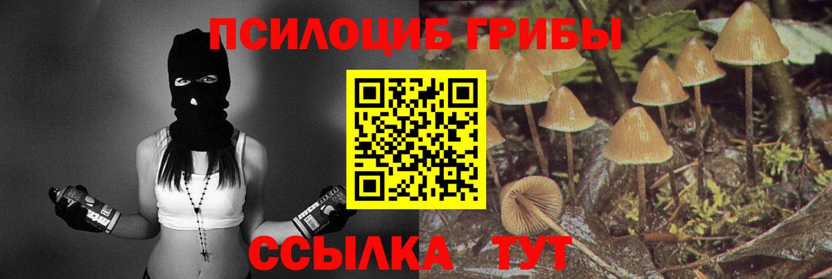 наркота  Вход с VPN  Беслан  Галлюциногенные грибы прущие грибы 