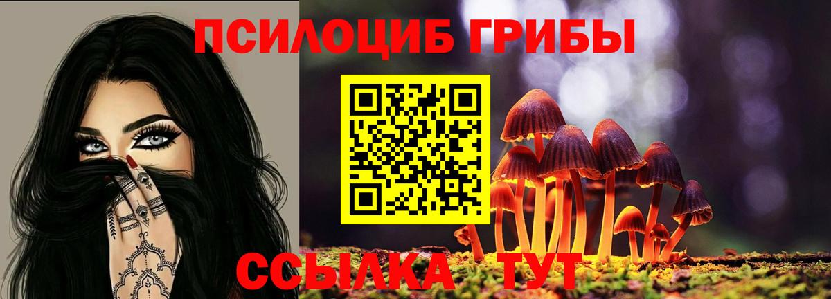 Галлюциногенные грибы Psilocybine cubensis Беслан